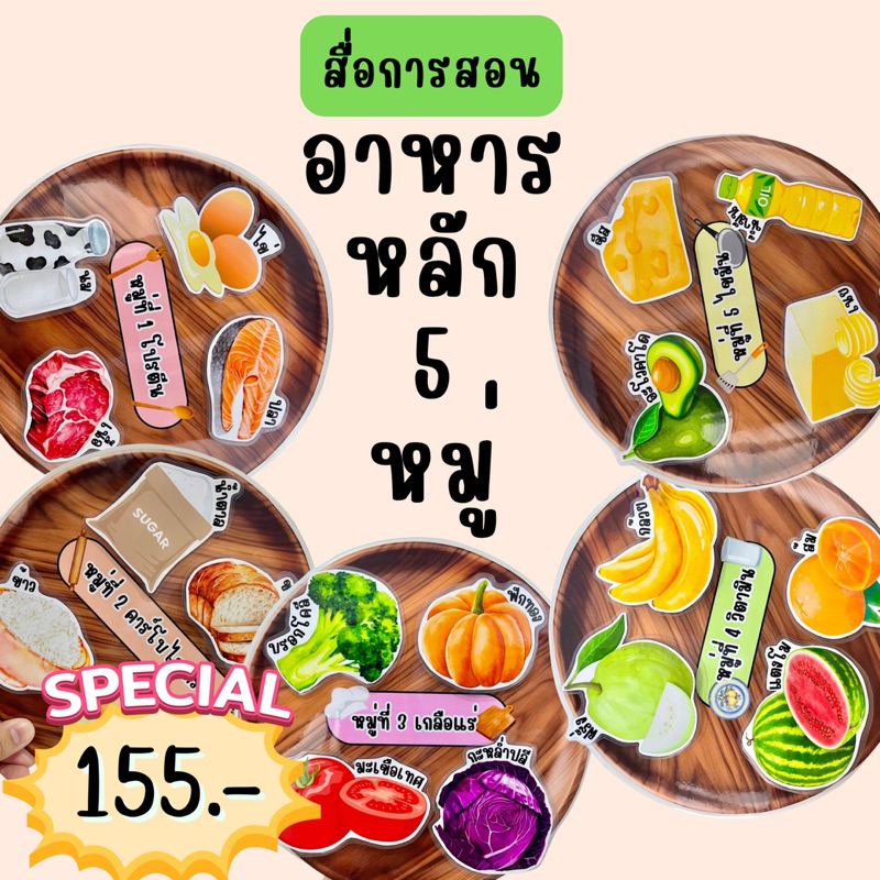 สื่อการสอนอาหารหลัก5หมู่ สื่อการสอนทำมือ เกมการศึกษา