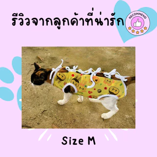 🇹🇭ตัดเย็บมือทำเอง Size M ชุดกันเลียแผล สุนัข แมว ชุดหลังผ่าตัด