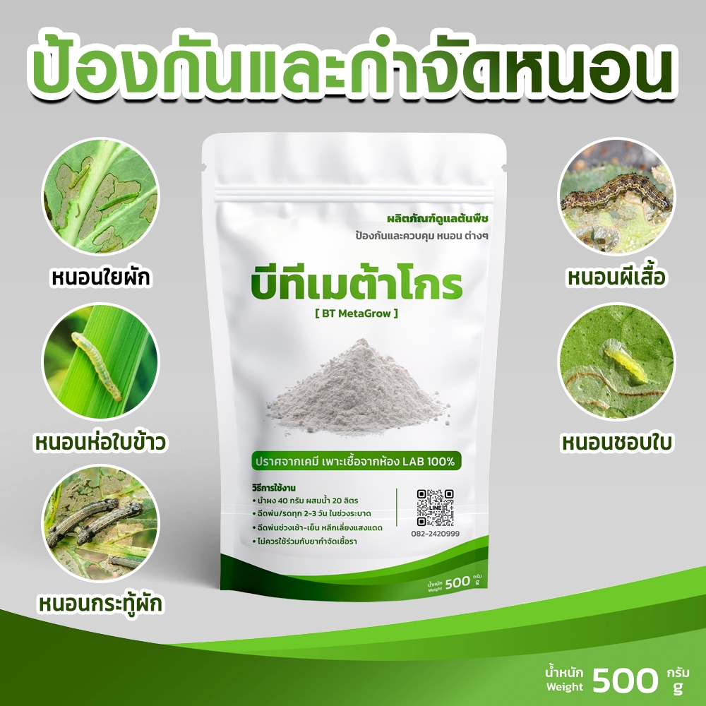 เชื้อบีที บาซิลลัส ทูริงเยนซิส แบบผง พร้อมใช้งาน ขนาด 500 กรัม