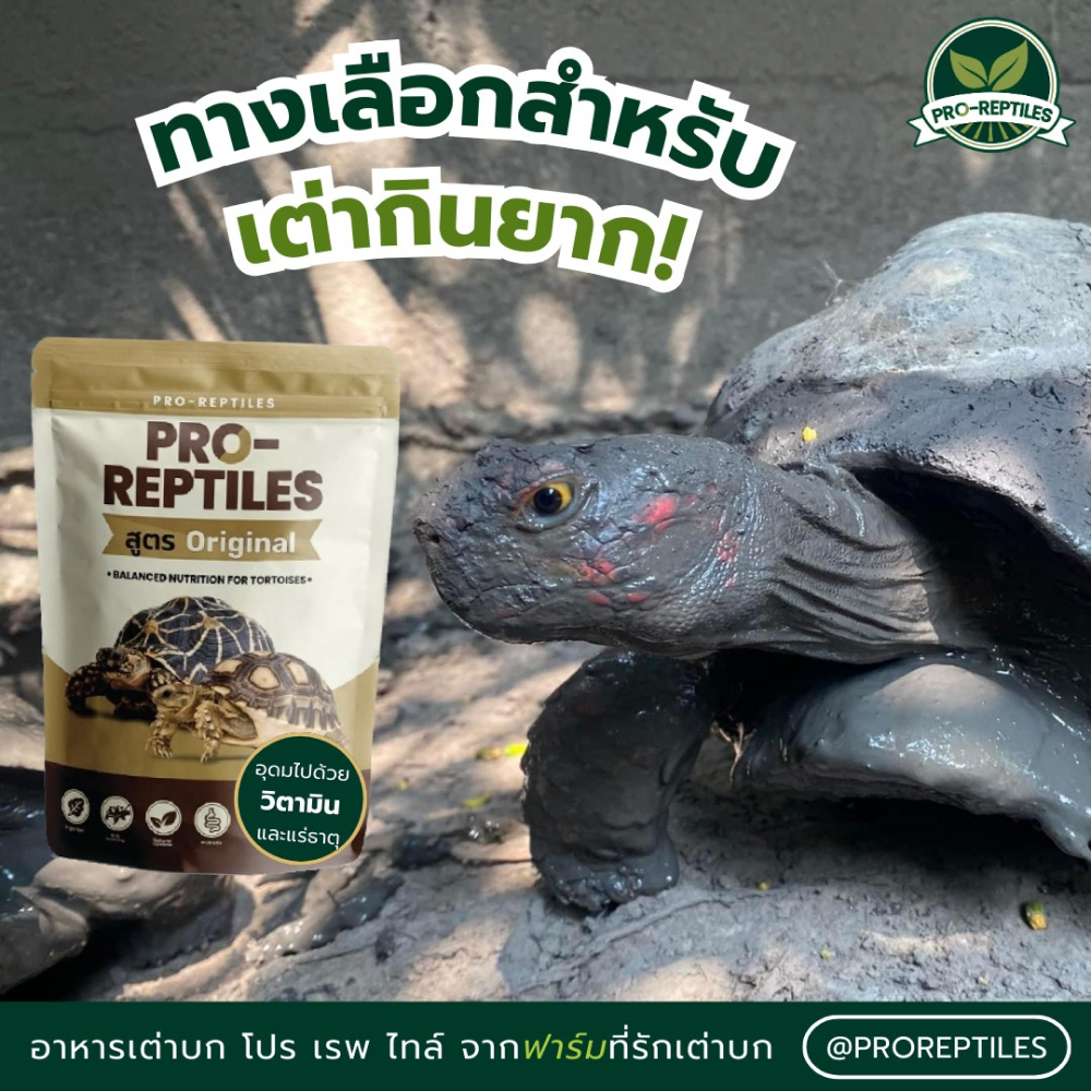 (ใช้โค้ดคุ้ม) [กระสอบ] Pro-Reptiles อาหารเต่าบก เต่าชูคาต้า พรีเมียม Basic ทานง่าย ชูลคาต้า Original / Premium 10 kg รูปที่ 2