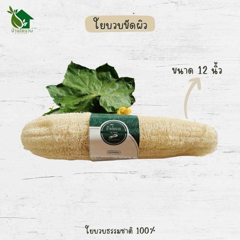 ใยบวบ ขนาด 30-35 เซนติเมตร ใยบวบขัดตัว ใยบวบหอมธรรมชาติ