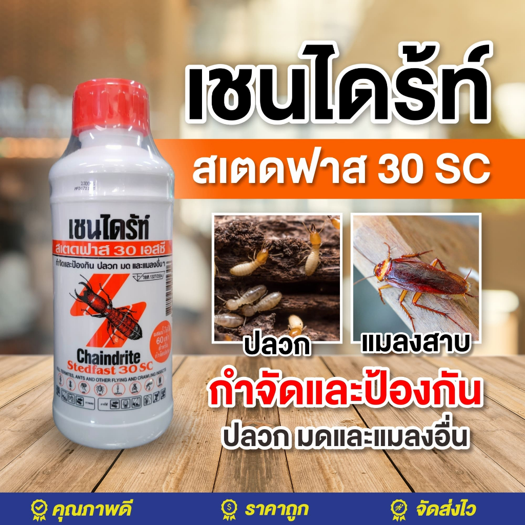 เชนไดร้ท์ สเตดฟาส 30 เอสซี 1000cc.น้ำยากำจัดปลวก ราดพื้นChaindrite Stedfast 30SC เชนไดร้ท์ปลวก