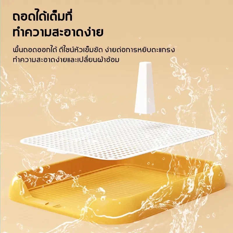 กระบะฉี่สุนัข ถาดรองฉี่สุนัข thumbnail 7