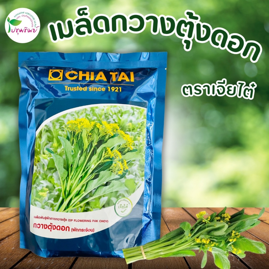 เมล็ดพันธุ์กวางตุ้งดอก (ผักกาดจ้อน) เจียไต๋ ขนาด 100 กรัม