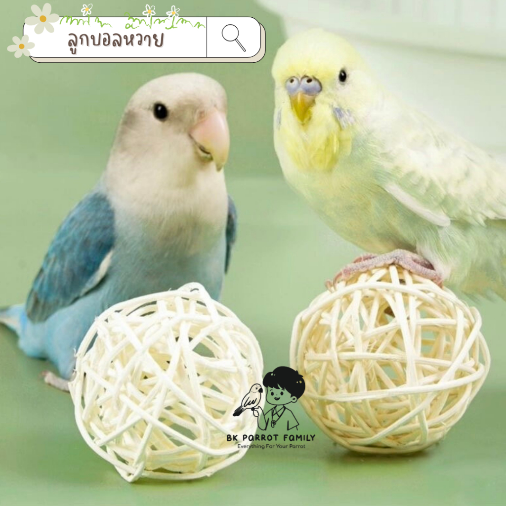ลูกบอลหวาย [พร้อมส่ง] ของเล่นสำหรับนกแก้ว 🕊