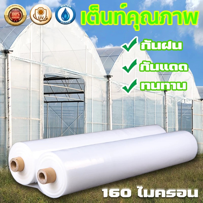 พลาสติกโรงเรือน พลาสติกใส พลาสติกคลุมโรงเรือน กันฝนgreenhouse หนา 160 ไมครอน UV7%