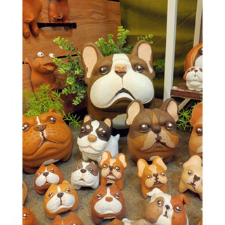 ตุ๊กตาเฟร้นบลูด้อก (แบบกระถาง และ เต็มตัว) size L  ***มีเฉพา…