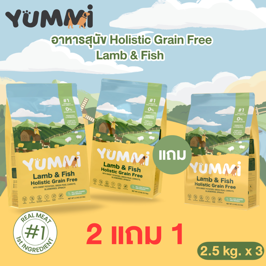 [2 แถม 1] SPECIAL! อาหารสุนัข Yummi สูตร Holistic Grain Free เนื้อแกะและปลา สำหรับทุกช่วงวัย ขนาด 5KG+2.5KG
