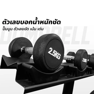 ดัมเบล Fix น้ำหนัก CoreIron แบบกลม 12.5 - 25 กก. ราคาต่อ 1 ข้าง ดัมเบลเหล็กหุ้มยาง มาตรฐานฟิตเนส อุปกรณ์ยกน้ำหนัก