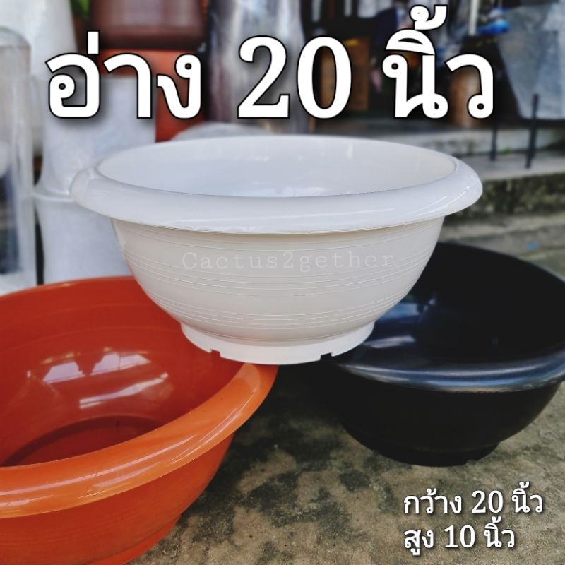 อ่าง20นิ้ว/อ่างบัว อ่างชวนชม แบบมีรู/แบบตัน