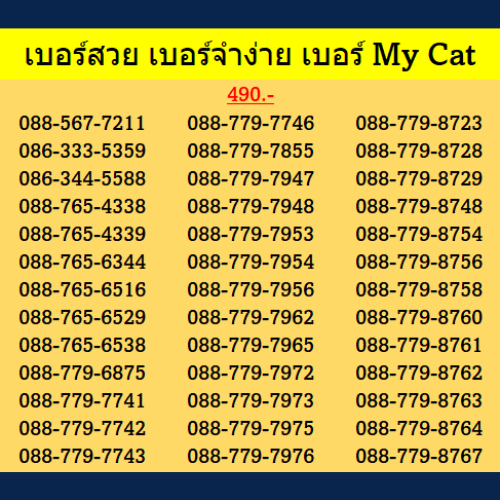 เบอร์สวย เบอร์จำง่าย ! ซิมเติมเงิน MY CAT รองรับเก็บเงินปลายทาง