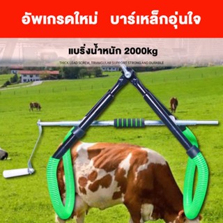 ตัวช่วยยกวัว อุปกรณ์ช่วยพยุงวัวยืน ขาตั้งสแตนเลสสําหรับวางอุ…