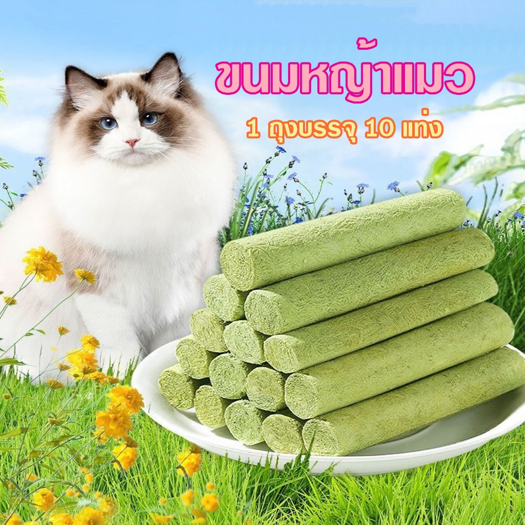 Deemar  ขนมหญ้าแมว ผลิตจากต้นอ่อนข้าวสาลี ช่วยขัดฟัน 1 ถุง บรรจุ 10 ชิ้น Catnip Sticks 10pcs