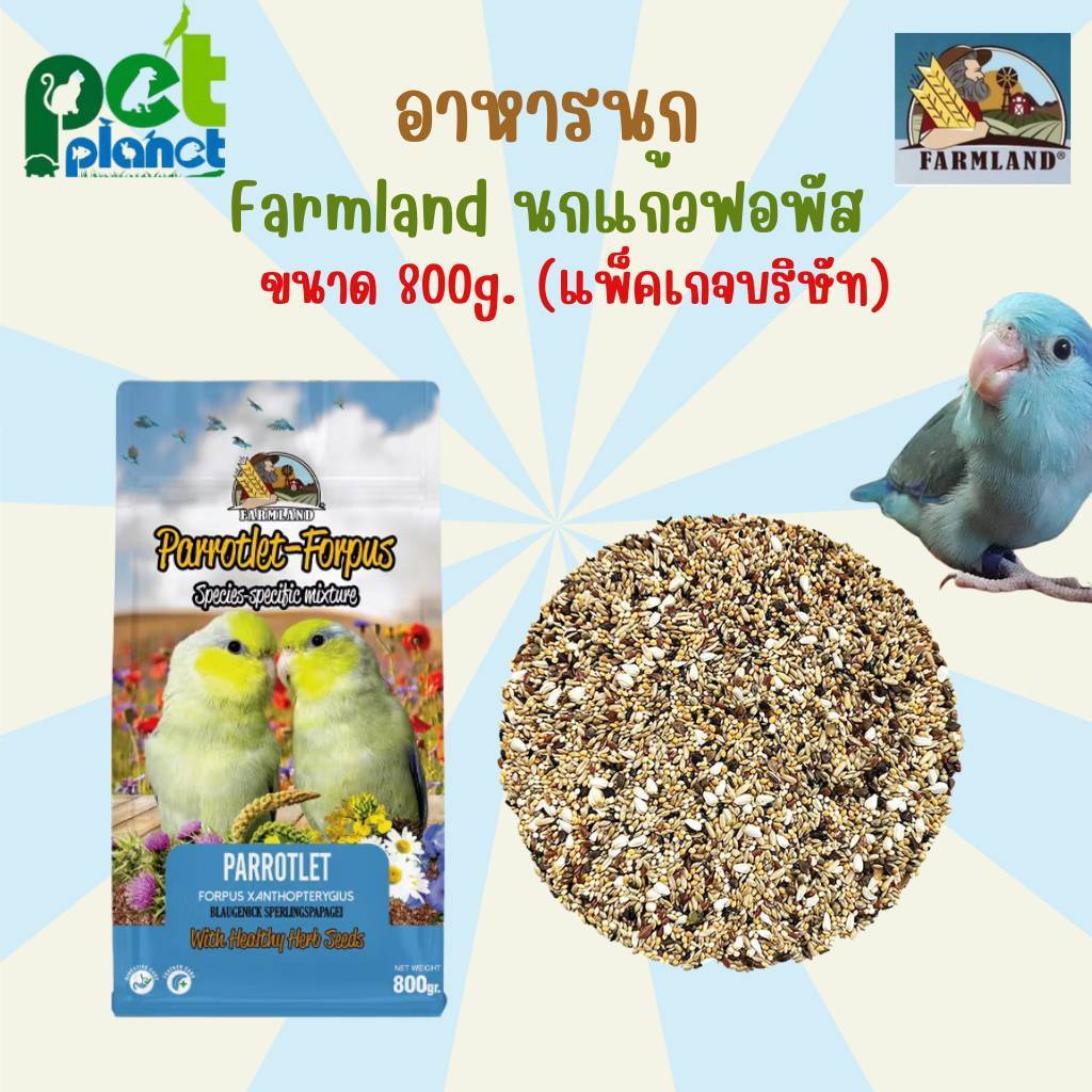[800g.] อาหารนก Farmland Forpus อาหารสำหรับ นกแก้วขนาดเล็ก ฟอพัส หงส์หยก เลิฟเบิร์ด