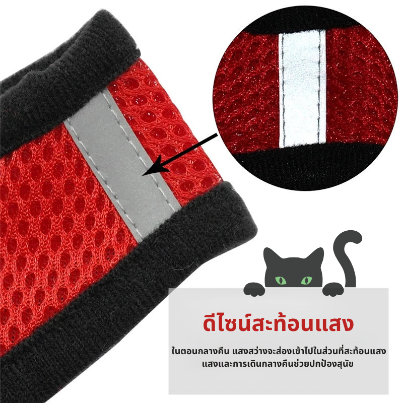 สายจูงแมวพร้อมสายรัดอก ป้องกันการหลุดได้ ปรับได้ ใช้ได้กับแมว สุนัข และกระต่าย - รูปที่ 4