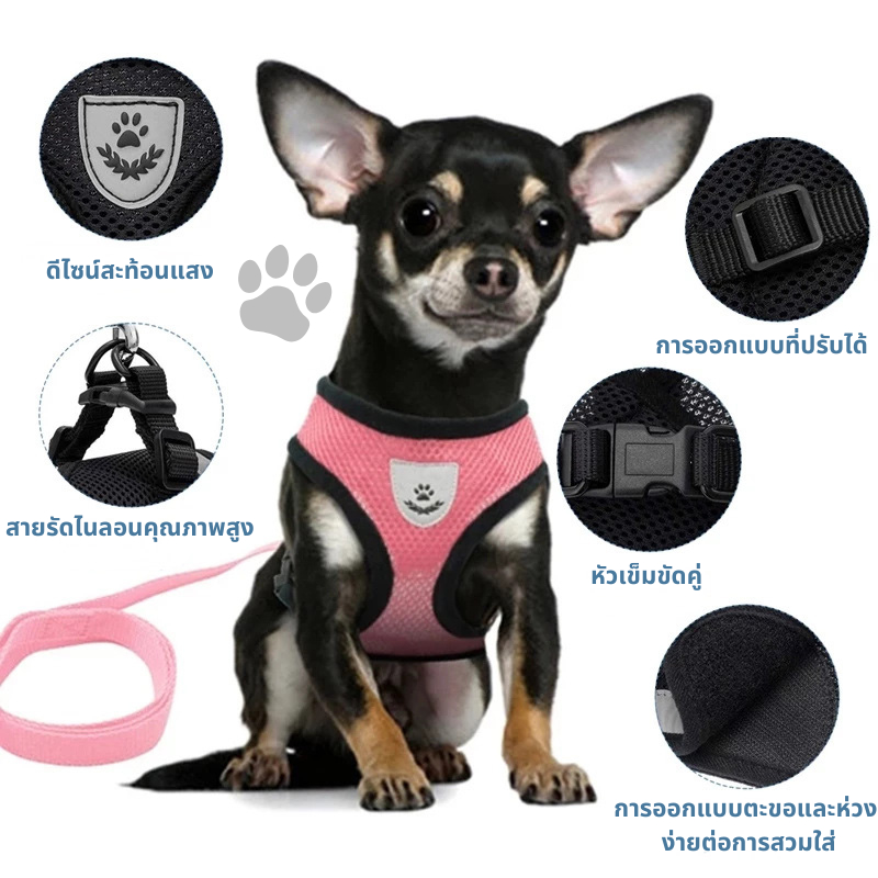 สายจูงแมวพร้อมสายรัดอก ป้องกันการหลุดได้ ปรับได้ ใช้ได้กับแมว สุนัข และกระต่าย - รูปที่ 3