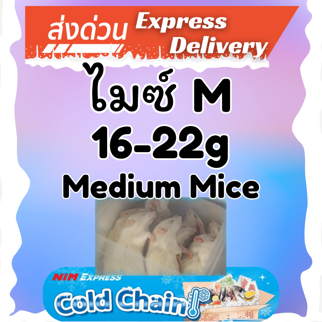 หนูไมซ์ M (Mice M) 16-22 g. แพ็ค 10 ตัว หนูแช่แข็ง อาหารแช่แข็ง หนูเหยื่อ Frozen Mice