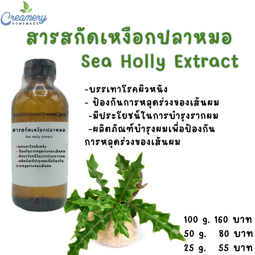 สารสกัดเหงือกปลาหมอ Sea holly Extract | สารสกัดสมุนไพร | (สารสกัดใส่สบู่ ใช้เป็นส่วนผสมสำหรับเครื่องสำอางเท่านั้น)