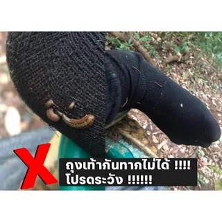 ถุงเท้ากันทาก ผ้าRipStop ถุงกันทาก สำหรับเดินป่า Fennec Fox Outdoor by Madfox