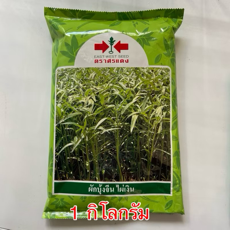 เมล็ดพันธุ์ผักบุ้งจีน (ไผ่เงิน) 1 กิโลกรัม ตราศรแดง เมล็ดพันธุ์คุณภาพ