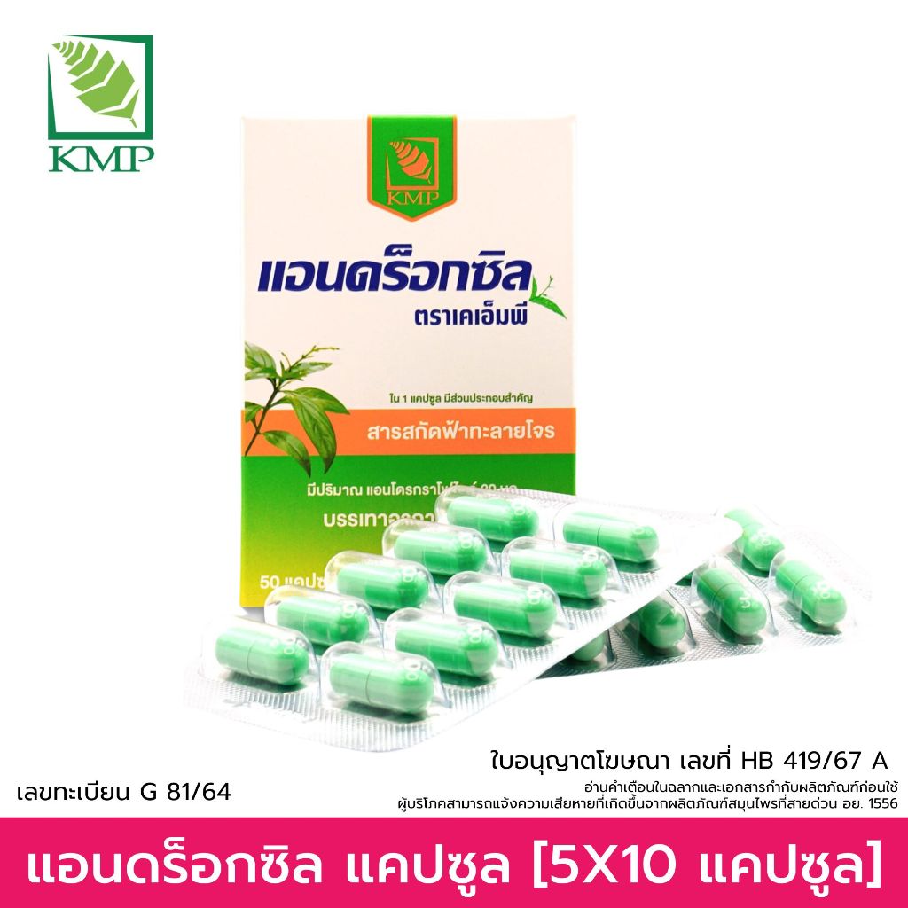 แอนดร็อกซิล Androxil ฟ้าทะลายโจรสกัด 20 มก. 50 Cap (1 กล่อง : 50 แคปซูล)