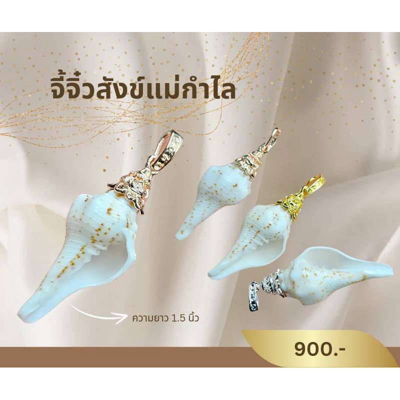 จี้จิ๋วสังข์แม่กำไล ขนาดเริ่มต้น