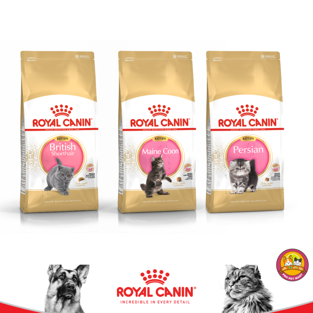 Royal Canin KITTEN CAT