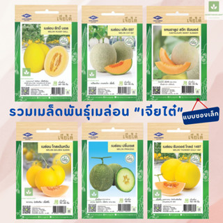 เมล็ดพันธุ์เมล่อน เจียไต๋ มีครบทุกพันธุ์ เมล่อน แค็ท เมล่อนป…