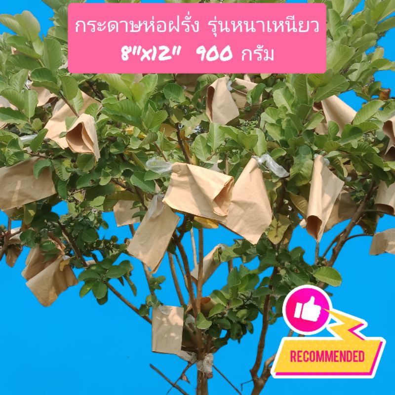 กระดาษห่อฝรั่ง 8"x 12"นิ้ว รุ่นหนาเหนียว อึด ทนทุกสภาพอากาศ 900 กรัม 185 แผ่น