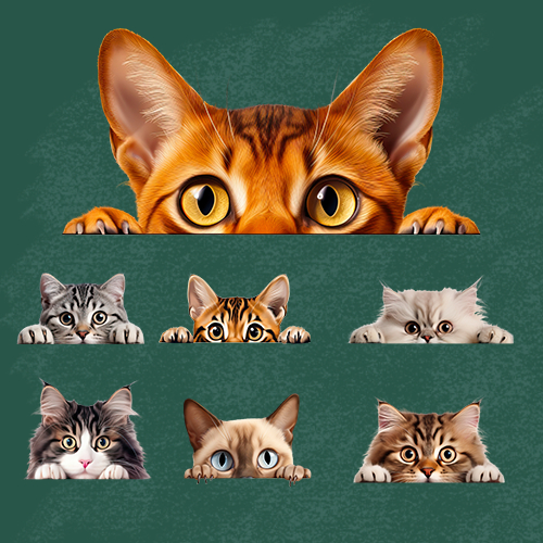 ตัวรีดติดเสื้อ (F.306 )การ์ตูนน้องแมวครึ่งหน้า เซ็ต 2 รีดติดง่ายทุกเนื้อผ้า DIY Patches