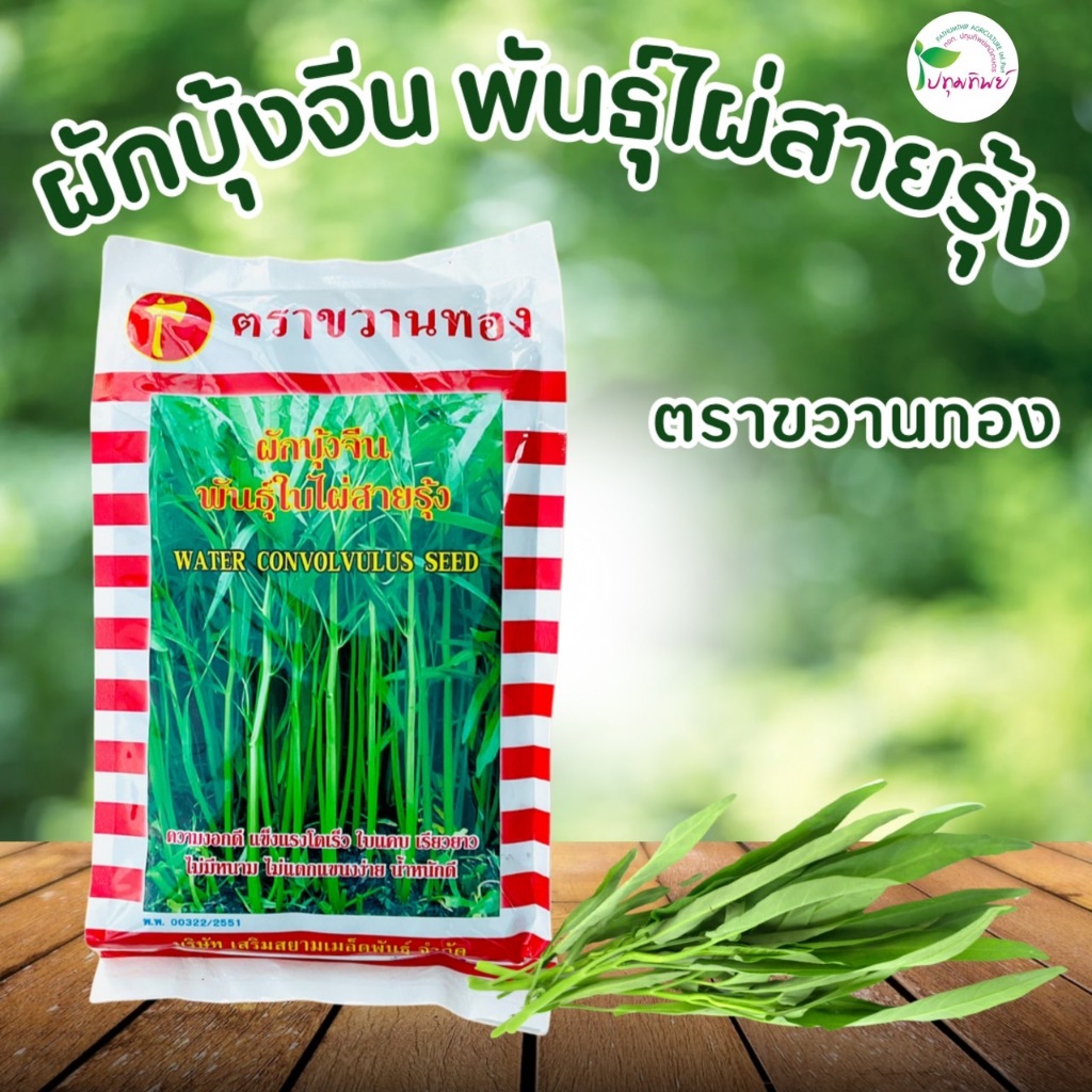 เมล็ดพันธุ์ผักบุ้ง 1 กิโลกรัม ผักบุ้งพันธุ์ใบไผ่สายรุ้ง ผักบุ้งตราขวาน ตราขวานทอง