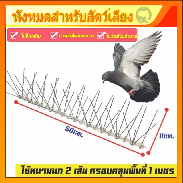 หนามไล่นก💥ที่ไล่นก ไล่นกพิราบ กันนก กันนกพิราบ ที่ กัน นกพิราบ เกาะ หนามกันนก หนามกันนกพิราบ หนามไล่นกพิราบ bird thorn