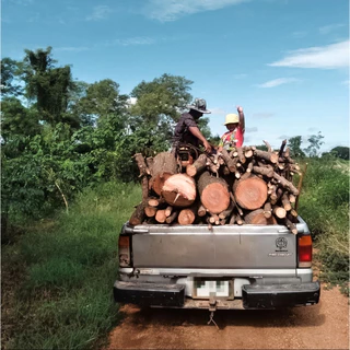 ส่งฟรี ‼️ | น้ำส้มควันไม้ กลั่นบริสุทธิ์ สำหรับพืชผัก | ผสมไคโตซาน ป้องกันเชื้อรา โรค ไล่แมลง เพลี้ย