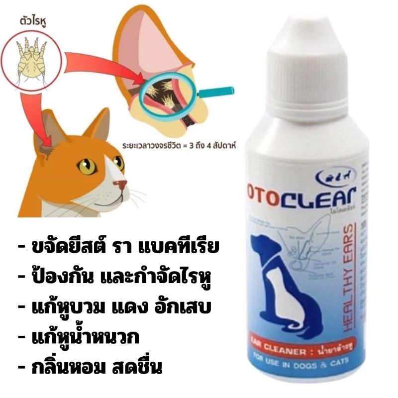 [ของแท้] OTOCLEAR น้ำยาเช็ดหู น้ำยาล้างหู กำจัดไรหู ทำความสะอาดหู สุนัข แมว กระต่าย 60 ml