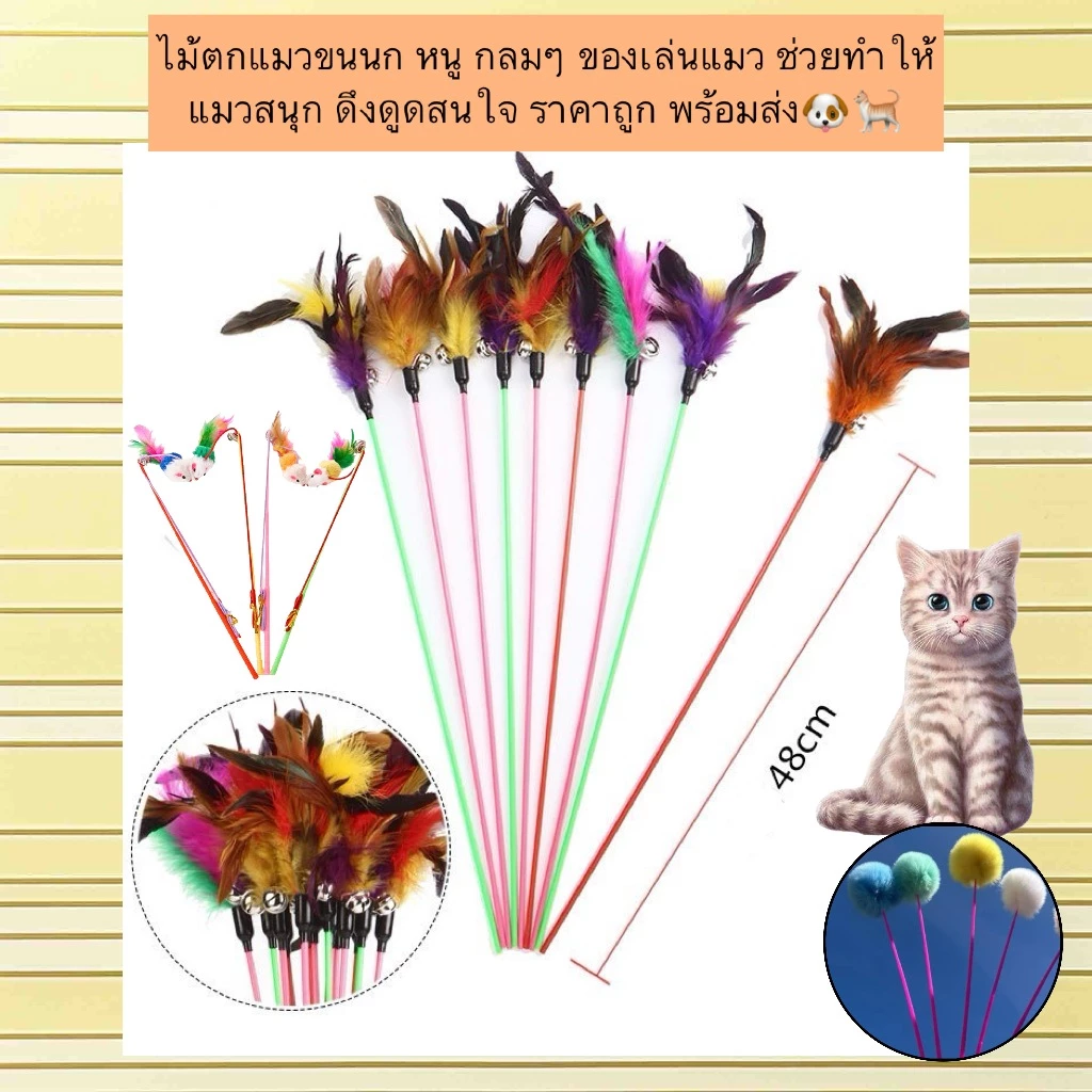 BN-593 🐾 ไม้ตกแมวขนนก | ของเล่นแมวสุดโปรด ของต้องมีสำหรับทาสแมว! ของเล่นแมวแบบไม้ล่อ พร้อมเสียงกระดิ่ง ช่วยกระตุ้นความส