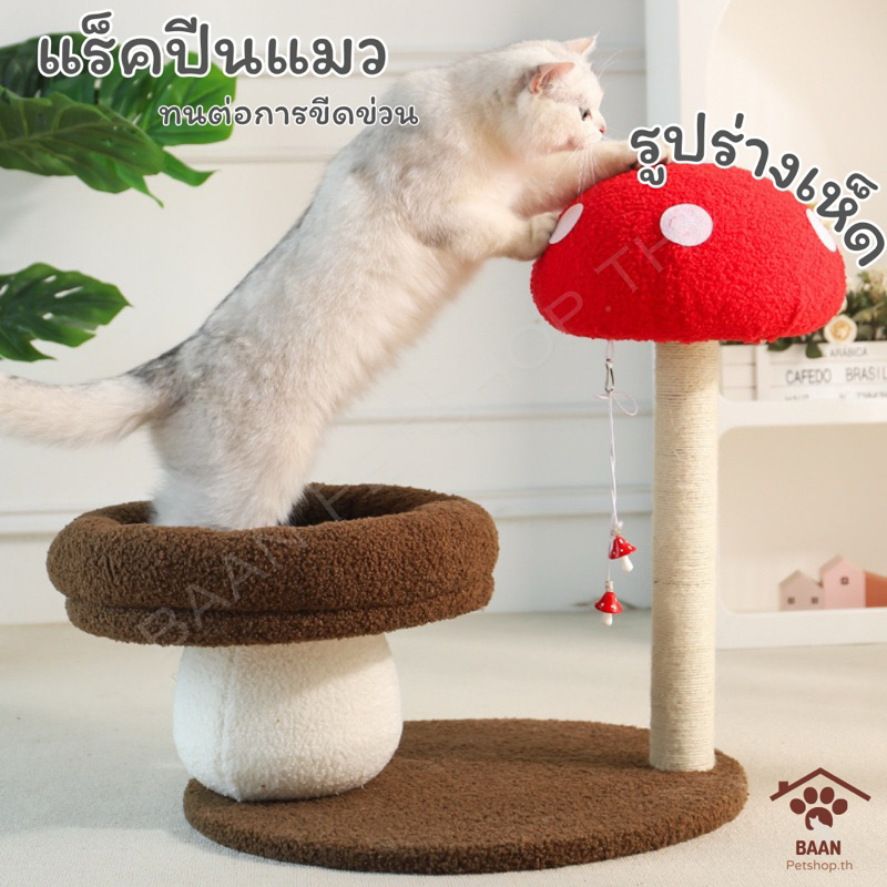 🍄 พร้อมส่ง คอนโดแมว เสาลับเล็บแมว รูปเห็ด
