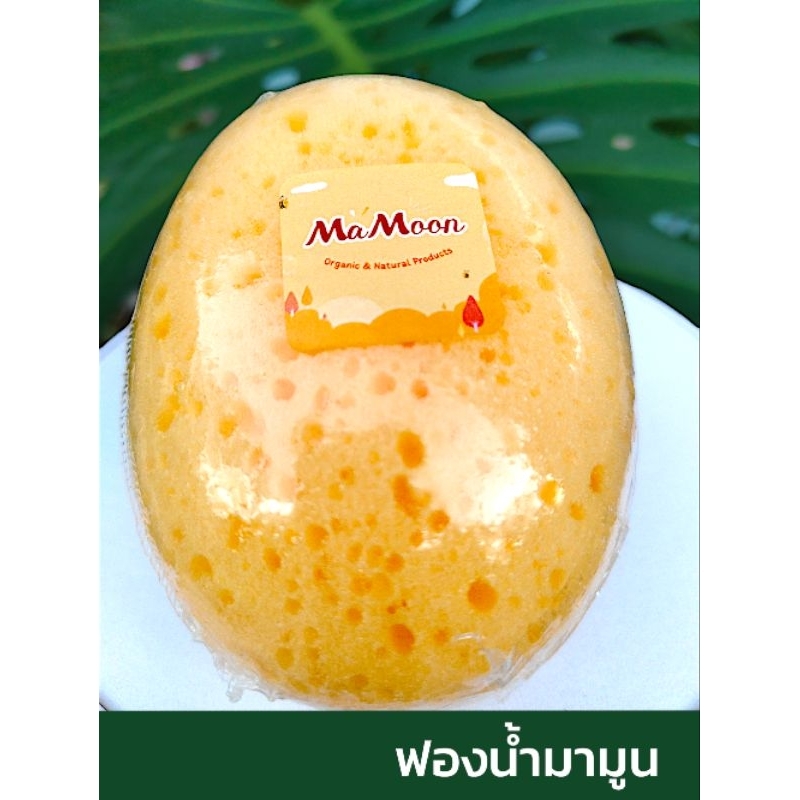 ฟองน้ำมามูน mamoon ฟองน้ำอาบน้ำเด็ก ฟองน้ำถูตัว