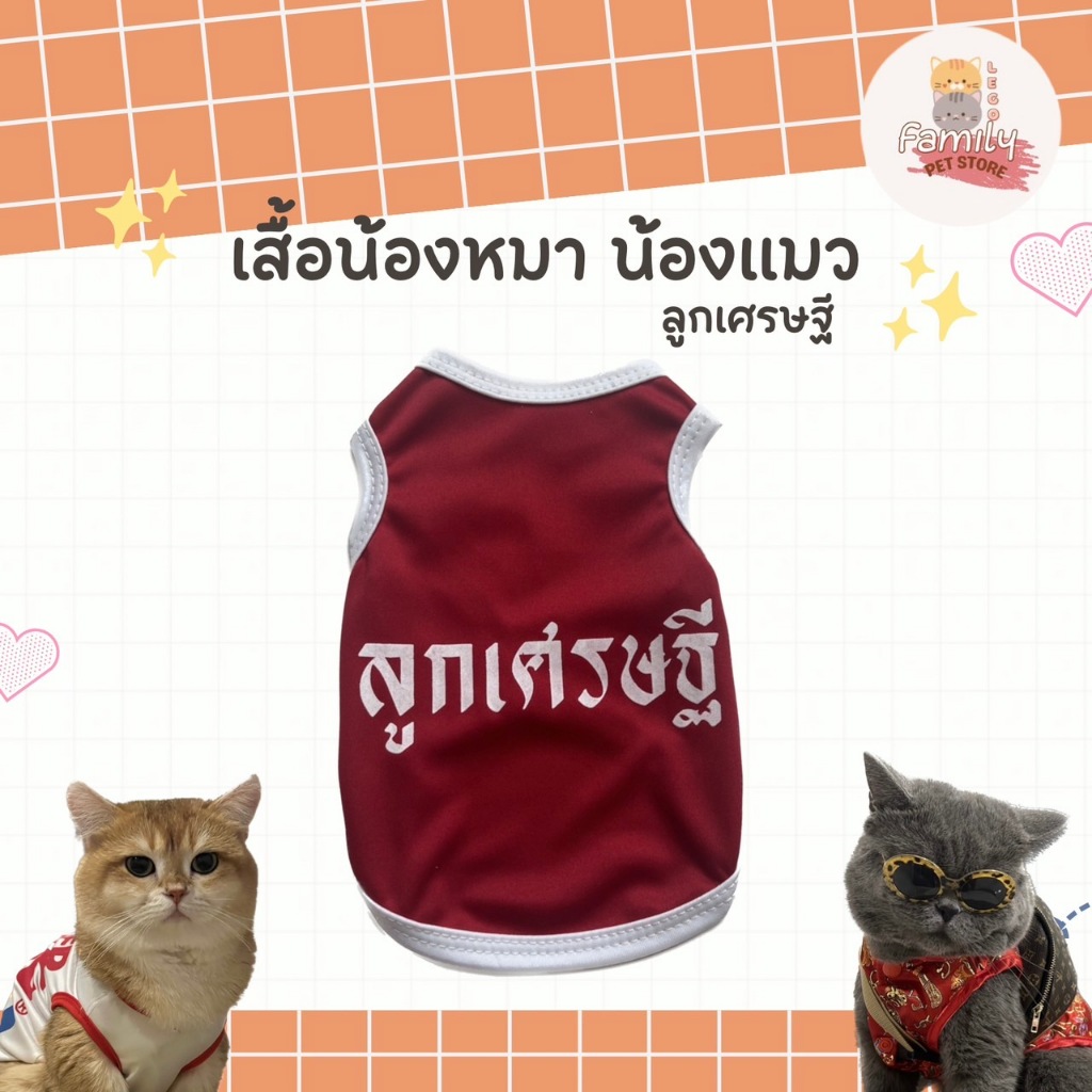 รูปภาพ 7