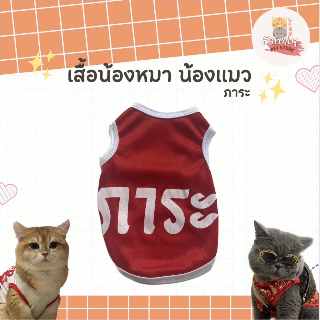 รูปภาพ 8