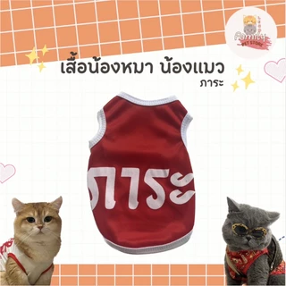 เสื้อหมา เสื้อแมว Set.1 (เบอร์ 1-6) ลายน่ารัก ลายขนส่ง เสื้อผ้าสัตว์เลี้ยง กระต่าย แฟชั่น ผ้านุ่ม