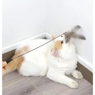 PP-590 ไม้ตกแมวขนนก ของเล่นแมว ยาว 50 ซม. ราคาถูก พร้อมส่ง 🐶🐈
