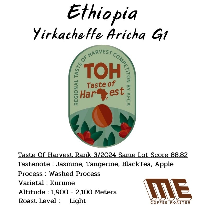 เมล็ดกาแฟ Ethiopia Yirkacheffe Aricha G1 ได้รางวัล TOH #3 ปี 2024 Score 88.82