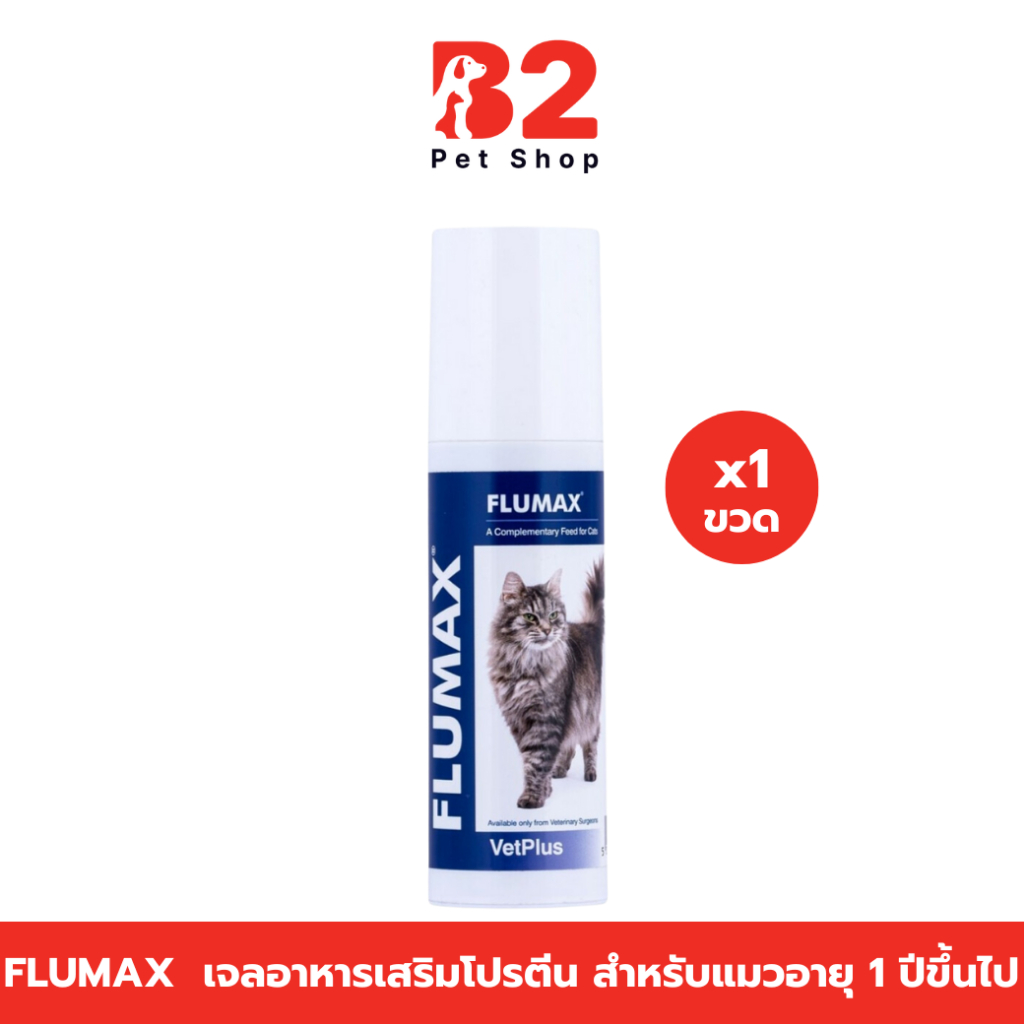 Flumax ฟลูแม็กซ์ อาหารเสริมสำหรับสัตว์เลี้ยง เสริมภูมิคุ้มกัน ไลซีนกระตุ้นภูมิสำหรับแมว อายุ 1 ปีขึ้