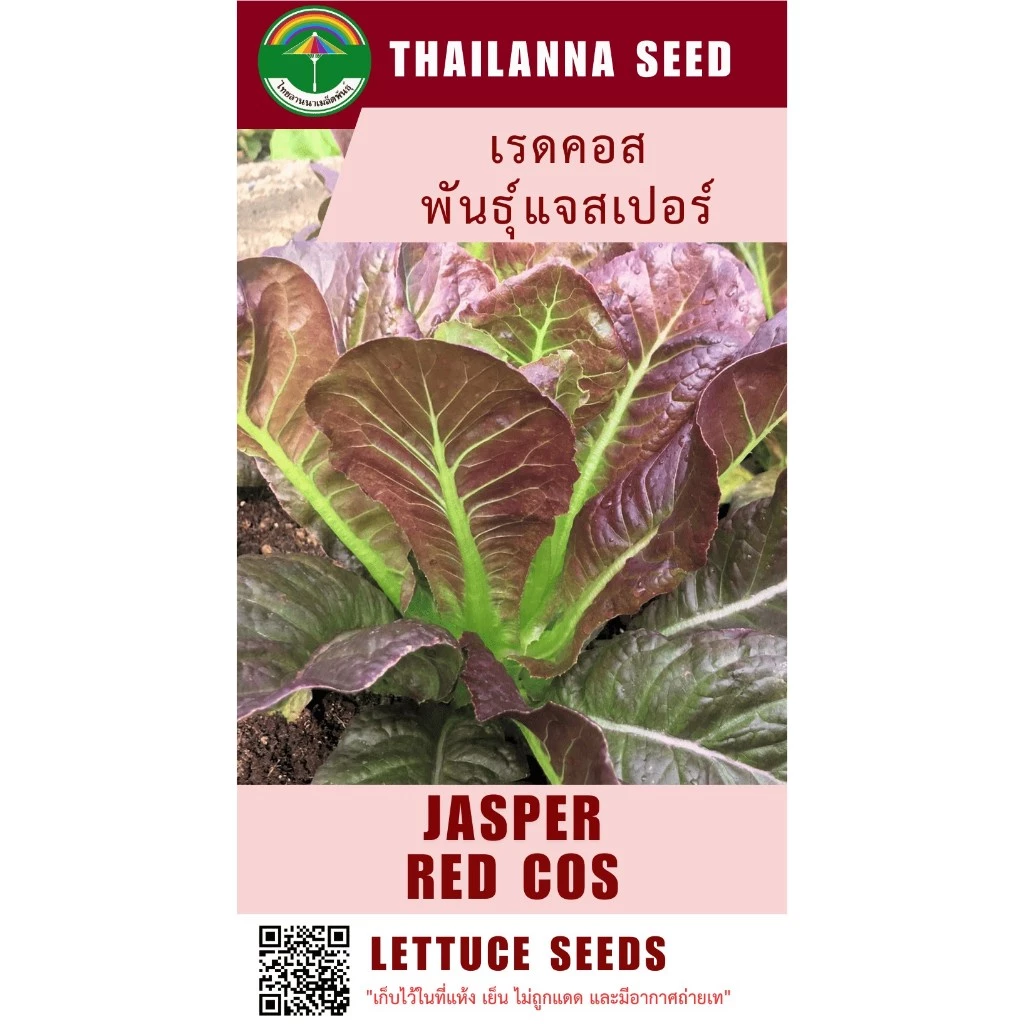 เมล็ดพันธุ์ผักสลัด เรดคอส พันธุ์แจสเปอร์ ( ขนาด 0.5 กรัม ) รหัสสินค้า 3020