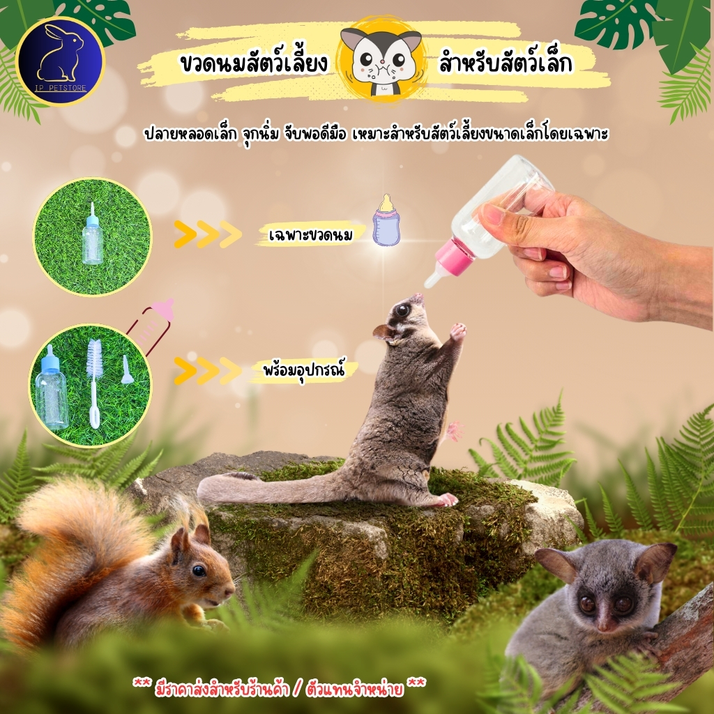 ขวดนมชูก้าร์ไกลเดอร์ กระรอก หนูแฮมสเตอร์ ขวดนมสัตว์เลี้ยง ที่ให้อาหารสัตว์เลี้ยง