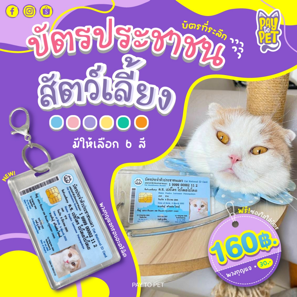 บัตรประชาชนสัตว์เลี้ยง 🐱 บัตรแข็ง PVC (ทักร้านค้าก่อนกดสั่งซื้อ) Pet ID Card