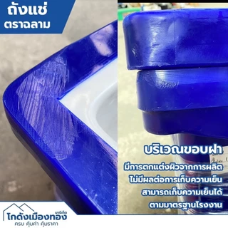 ถังแช่ ถังแช่น้ำแข็ง ตราฉลาม เกรดA 40ลิตร 60ลิตร 80ลิตร 100ลิตร 120ลิตร 150ลิตร 200ลิตร 300ลิตร มีมอก. Ice Box