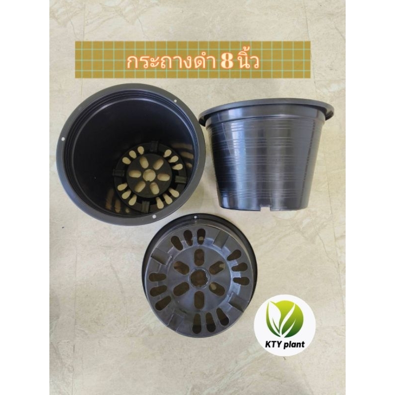 กระถางดำ กระถางต้นไม้ กระถางพลาสติก ขนาด2.5