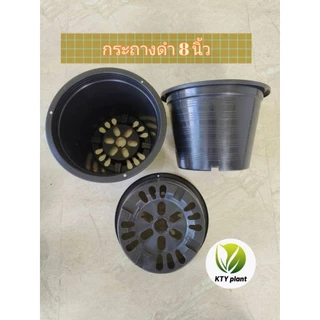 กระถางดำ กระถางต้นไม้ กระถางพลาสติก ขนาด2.5", 3",4",5",6",8",10"