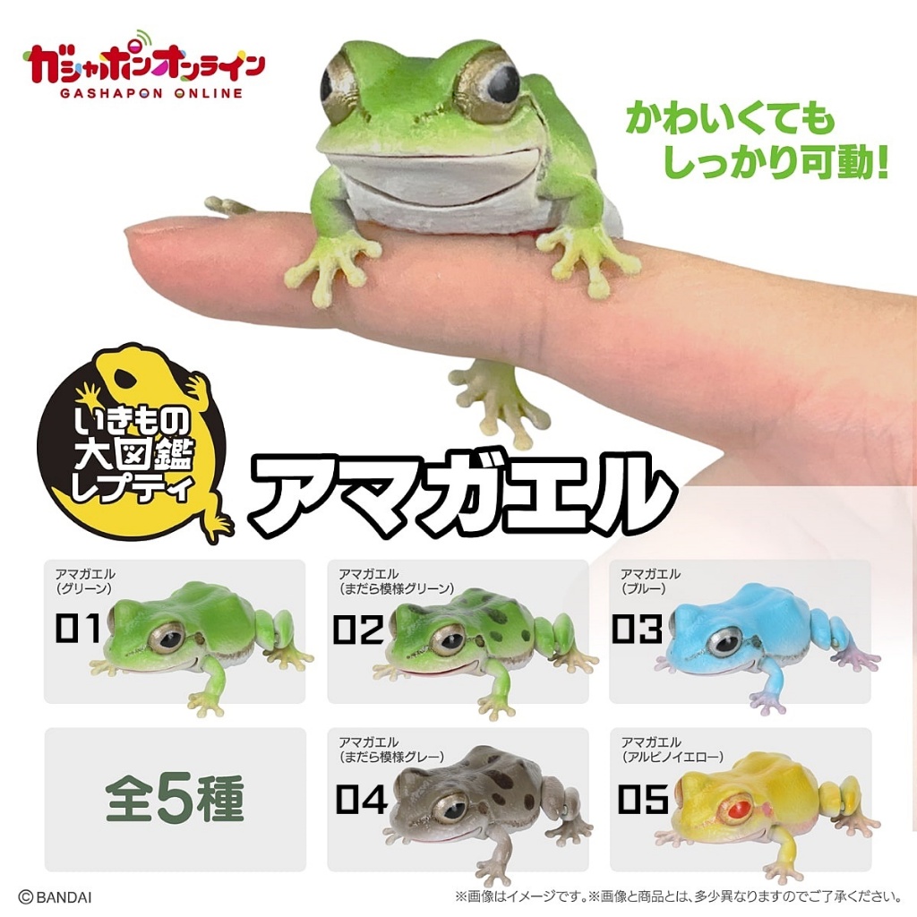 (มีของพร้อมส่ง) กาชาปองกบต้นไม้มินิ Gashapon Bandai Ikimono Encyclopedia Tree Frogs Mini โมเดลสัตว์